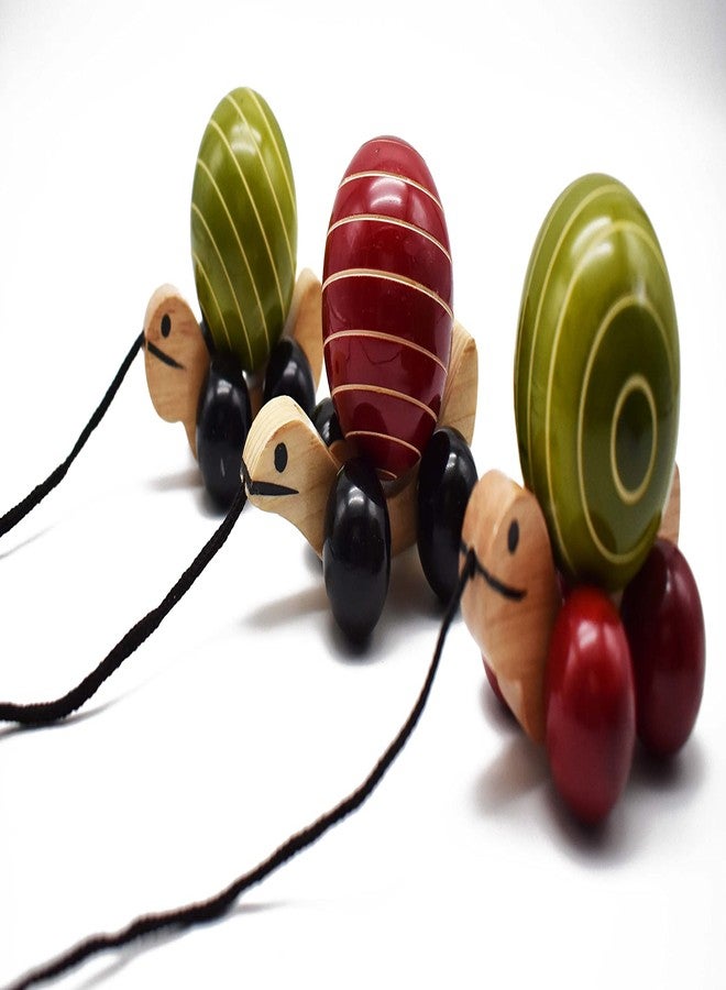 JustHandmade Wooden Tortoise Pull Along Toy for Kids, Colors May Vary (Combo of 3) - Image 1